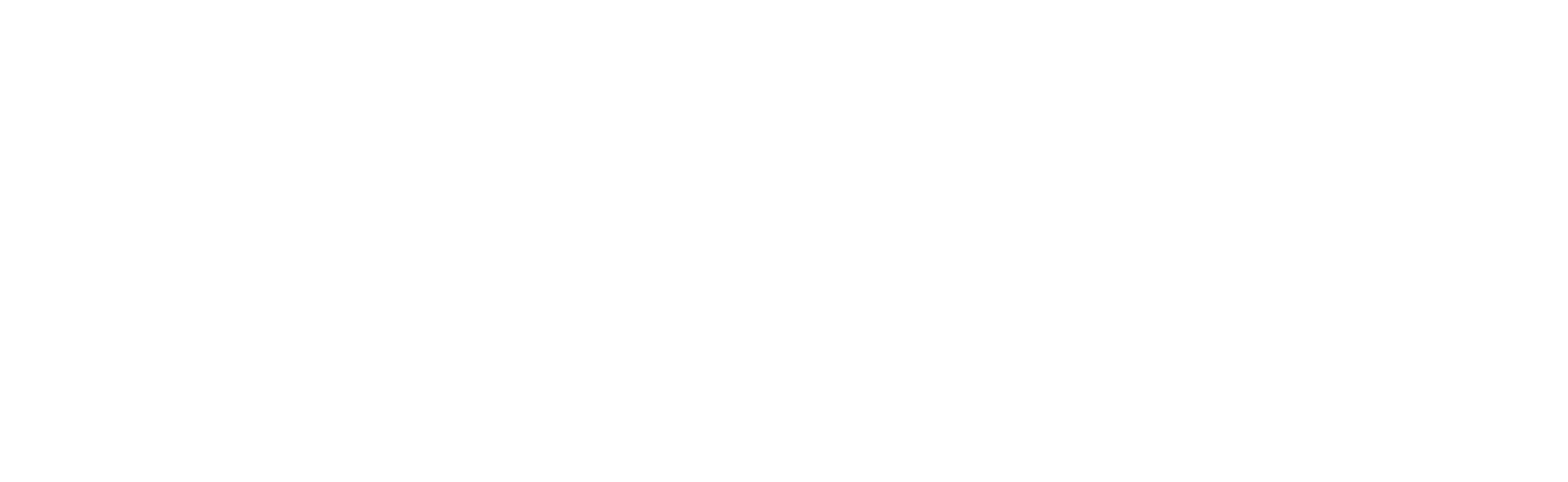 Rapyd_sign_45cm